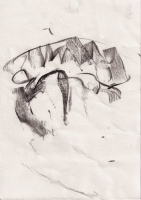 http://www.actionaqua.com/files/gimgs/th-118_amsterdam 115.jpg